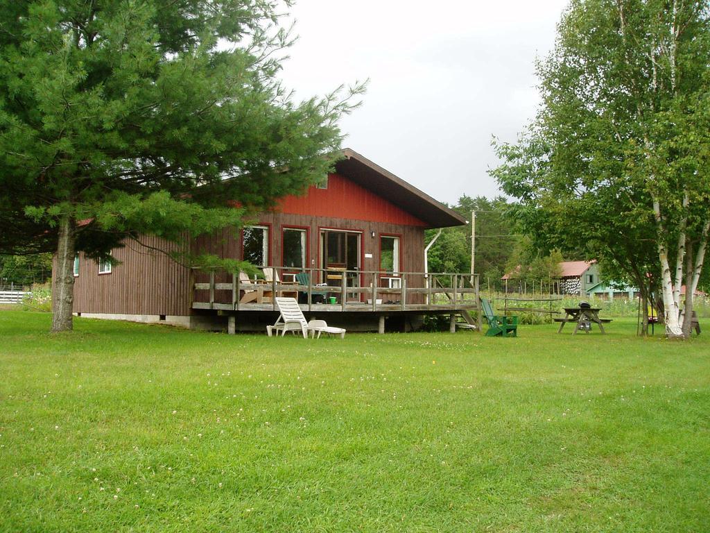 Bondi Village Cottage Resort Lake of Bays Eksteriør bilde