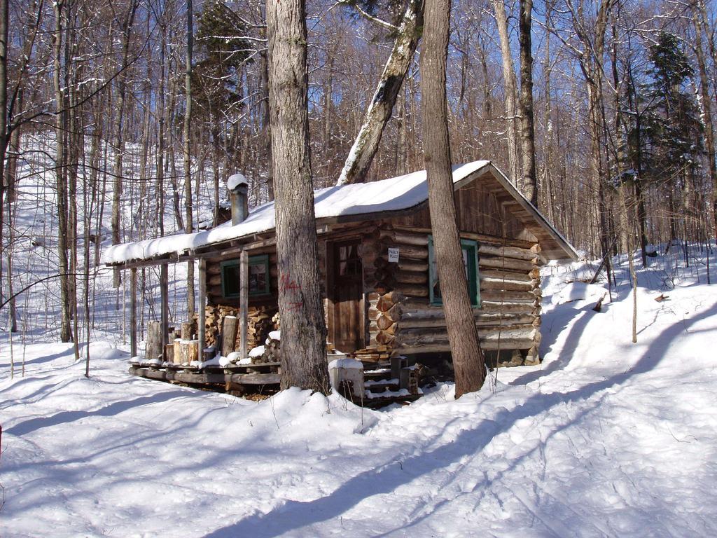 Bondi Village Cottage Resort Lake of Bays Eksteriør bilde
